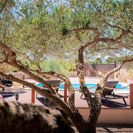 Holliday House Olea - - Island Hvar Villa *