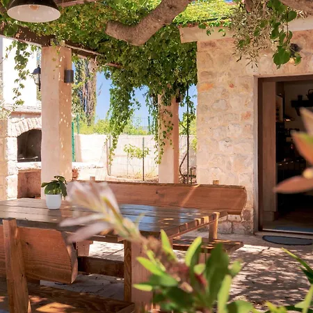 Holliday House Olea - - Island Hvar